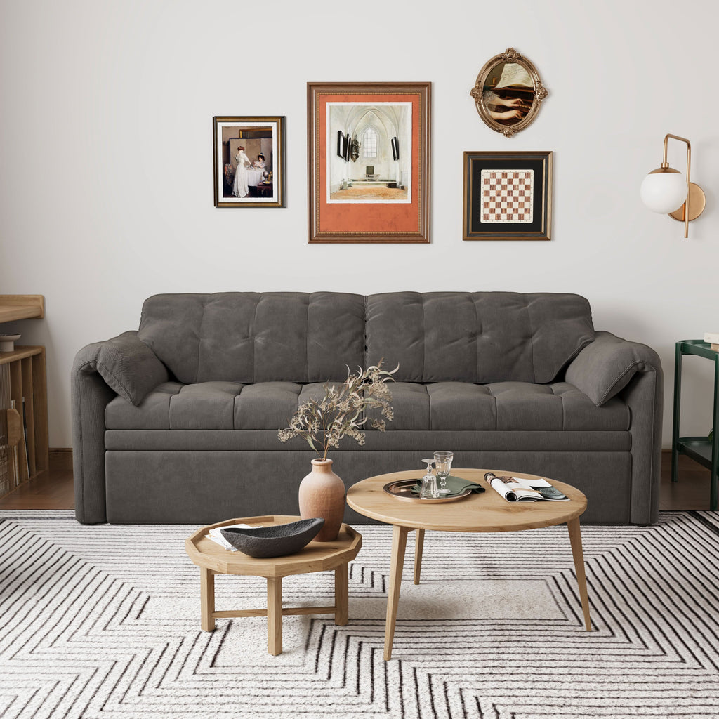 Cottonfy Upgraded Cloud Chenille Skin Friendly Sofa Bed with Storage