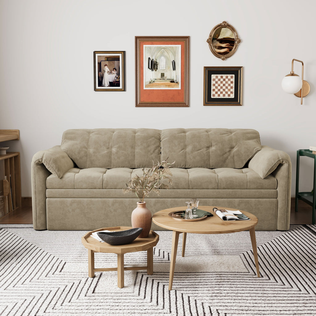 Cottonfy Upgraded Cloud Chenille Skin Friendly Sofa Bed with Storage