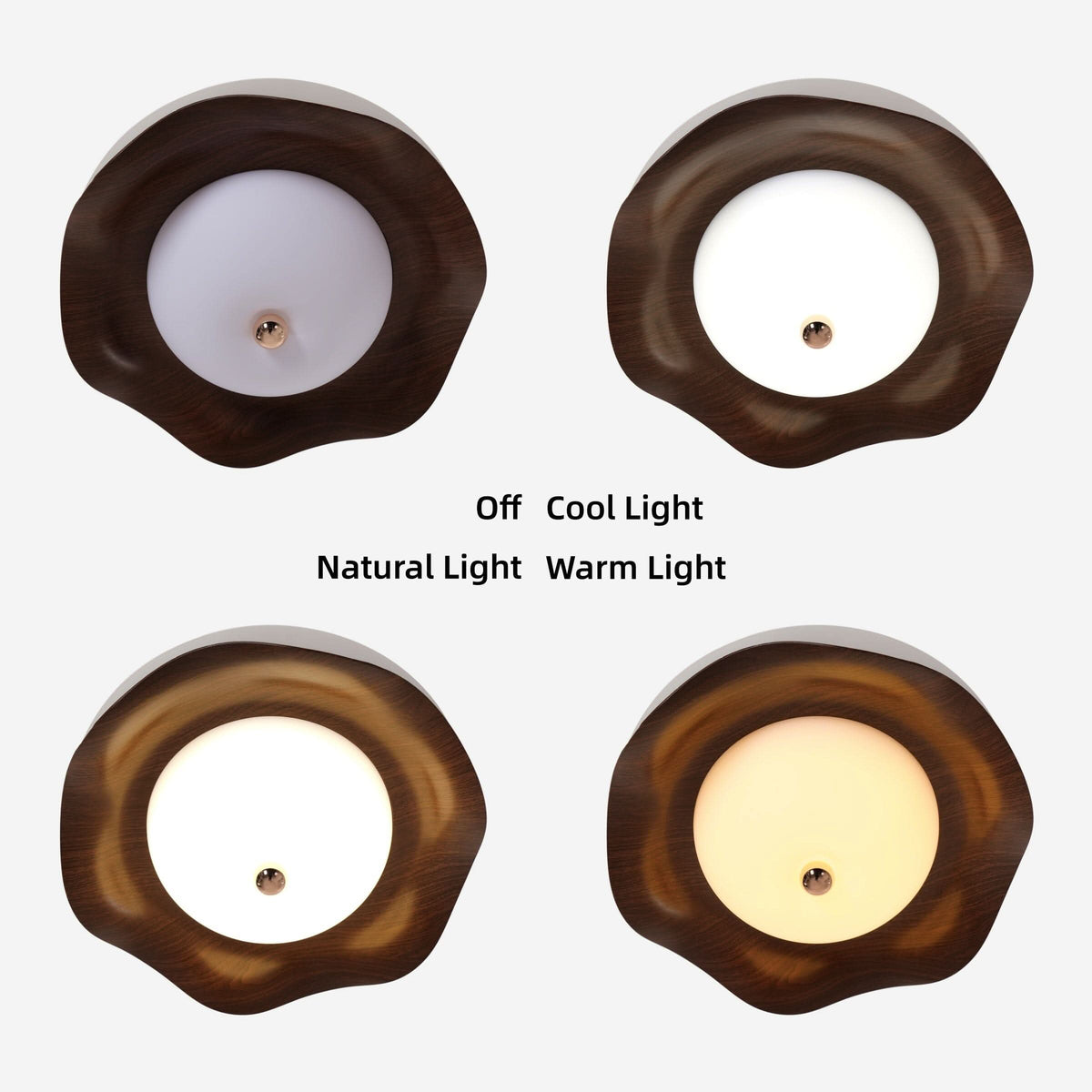 Lightsin 42 Inch Ceiling Fan with Dimmable LED and Reverse Airflow