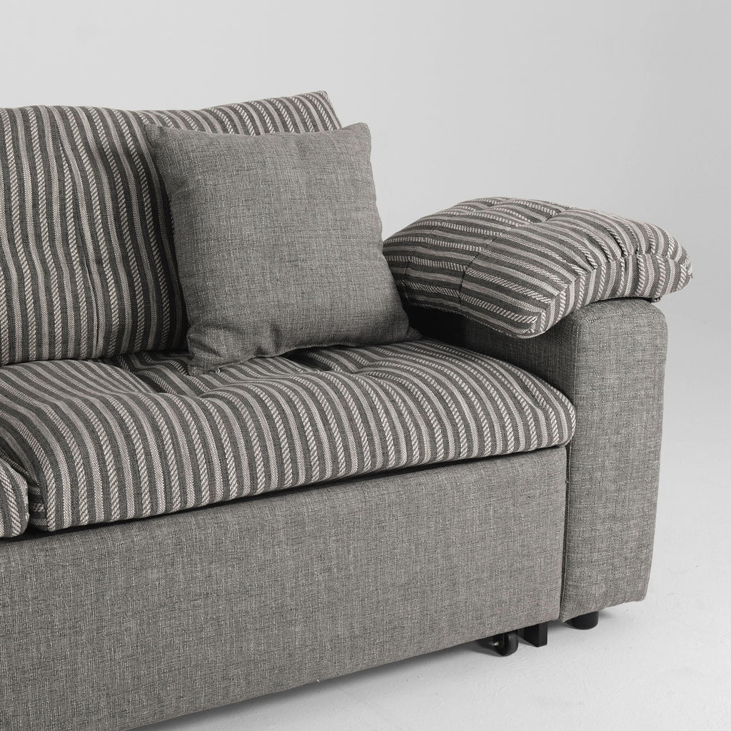 Cottonfy Multifunctional Sleeper Pull Out 2 Seater Sofa Bed with Storage Space