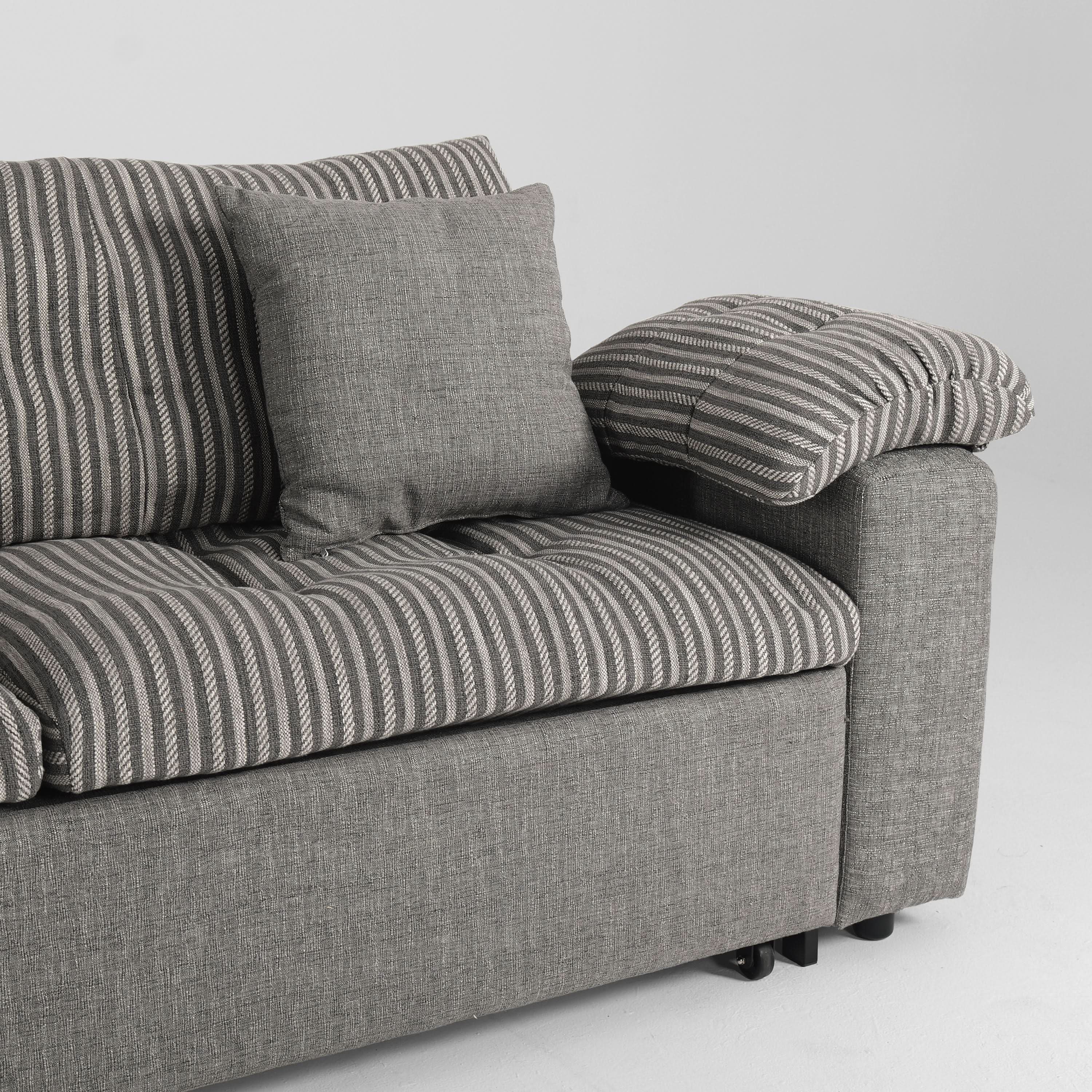 Cottonfy Multifunctional Sleeper Pull Out 2 Seater Sofa Bed with Storage Space