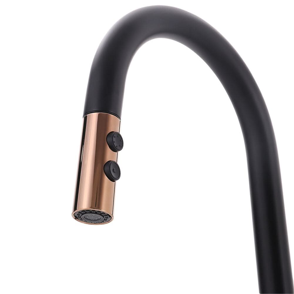 Black Pull Out Single Lever Mono Tap with 2 Jet Options