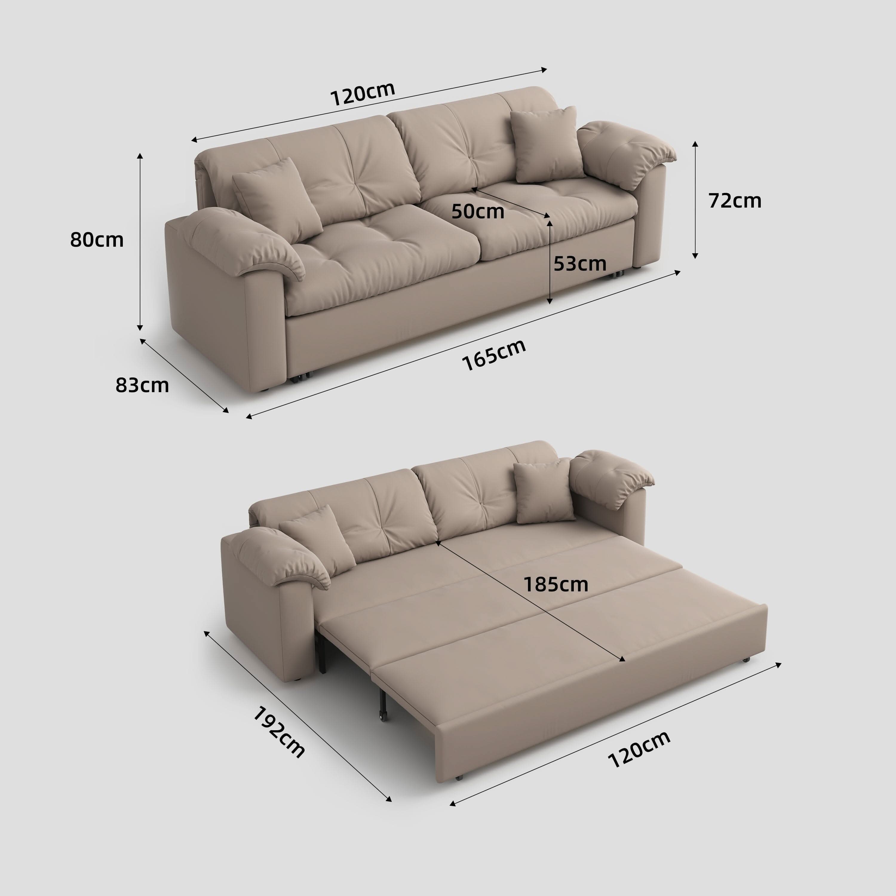 Cottonfy Multifunctional Sleeper Pull Out 2 Seater Sofa Bed with Storage Space