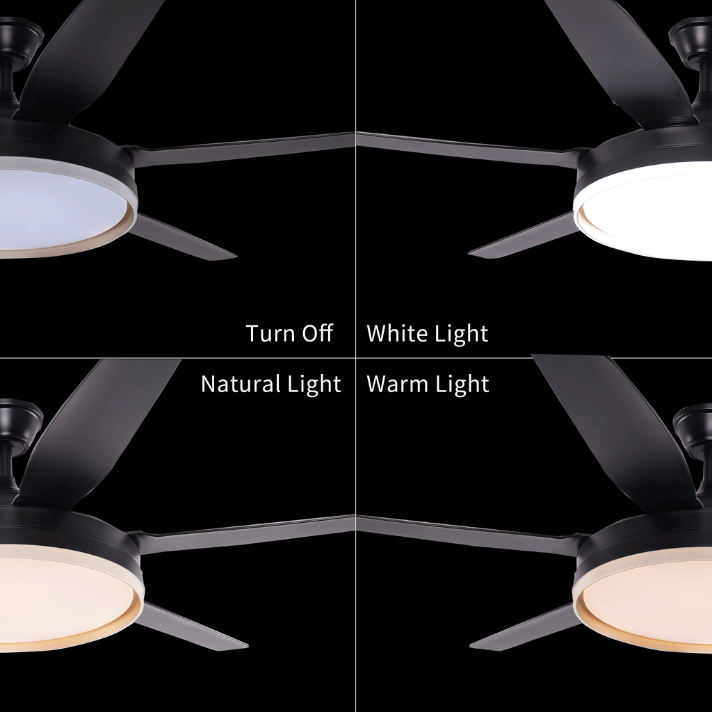 Lightsin Modern Black 57inch LED Ceiling Fan with Remote Control