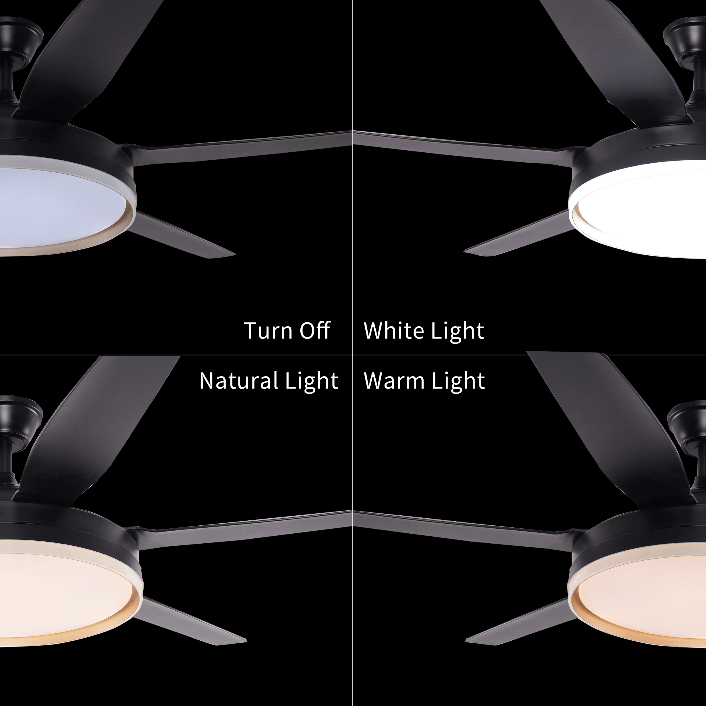 Lightsin Modern Black 57inch LED Ceiling Fan with Remote Control