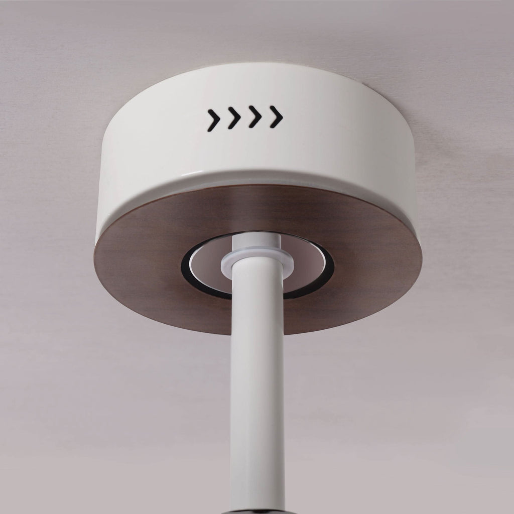 Lightsin 48 Inch Ceiling Fan with Bright LED and Timer Remote