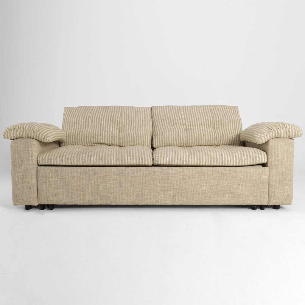 Cottonfy Multifunctional Sleeper Pull Out 2 Seater Sofa Bed with Storage Space