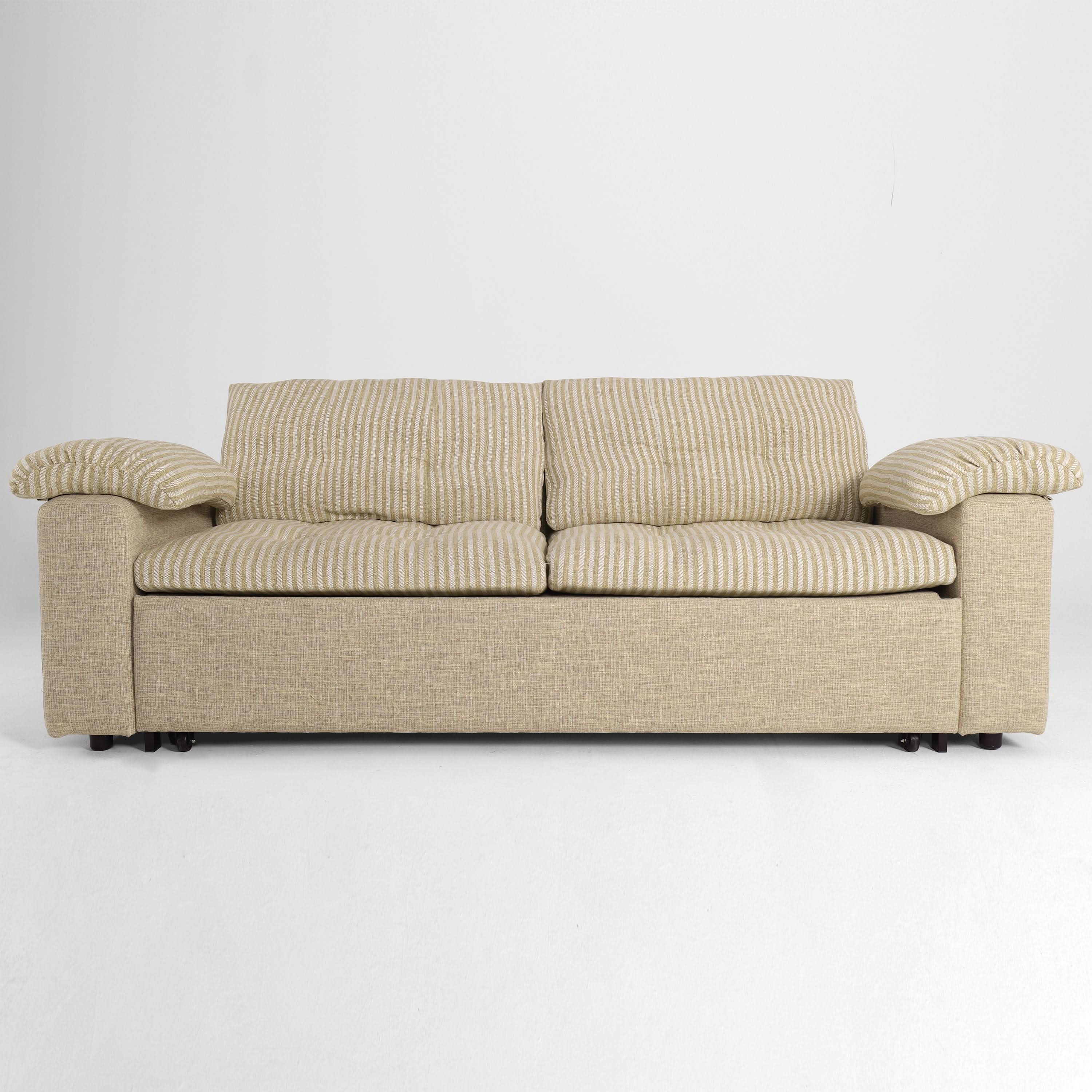 Cottonfy Multifunctional Sleeper Pull Out 2 Seater Sofa Bed with Storage Space