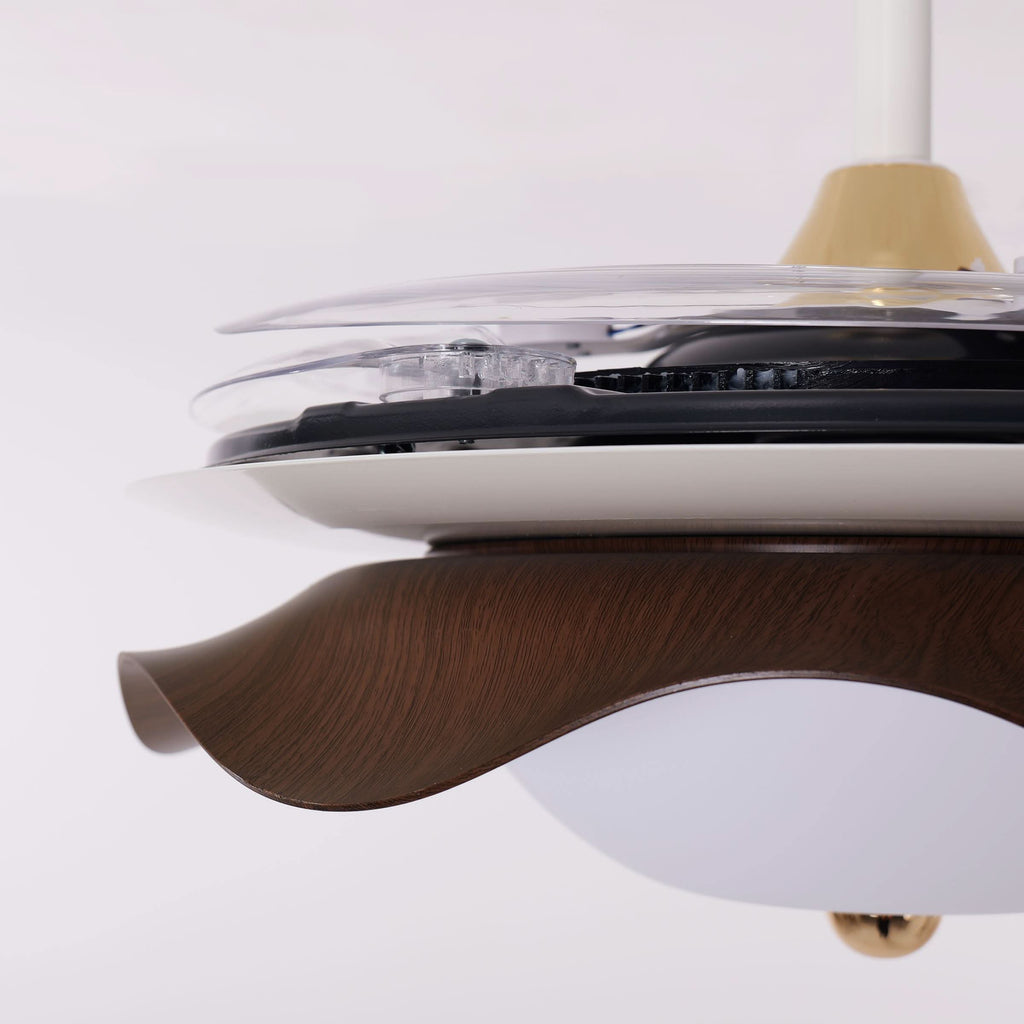 Lightsin 42 Inch Ceiling Fan with Dimmable LED and Reverse Airflow