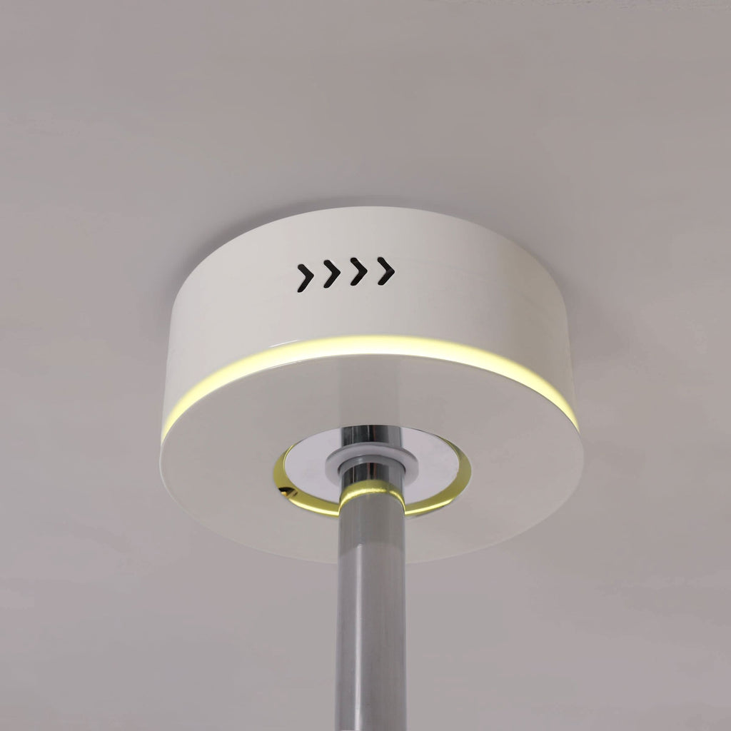 Lightsin 48 Inch Ceiling Fan with Quiet Reversible DC Motor