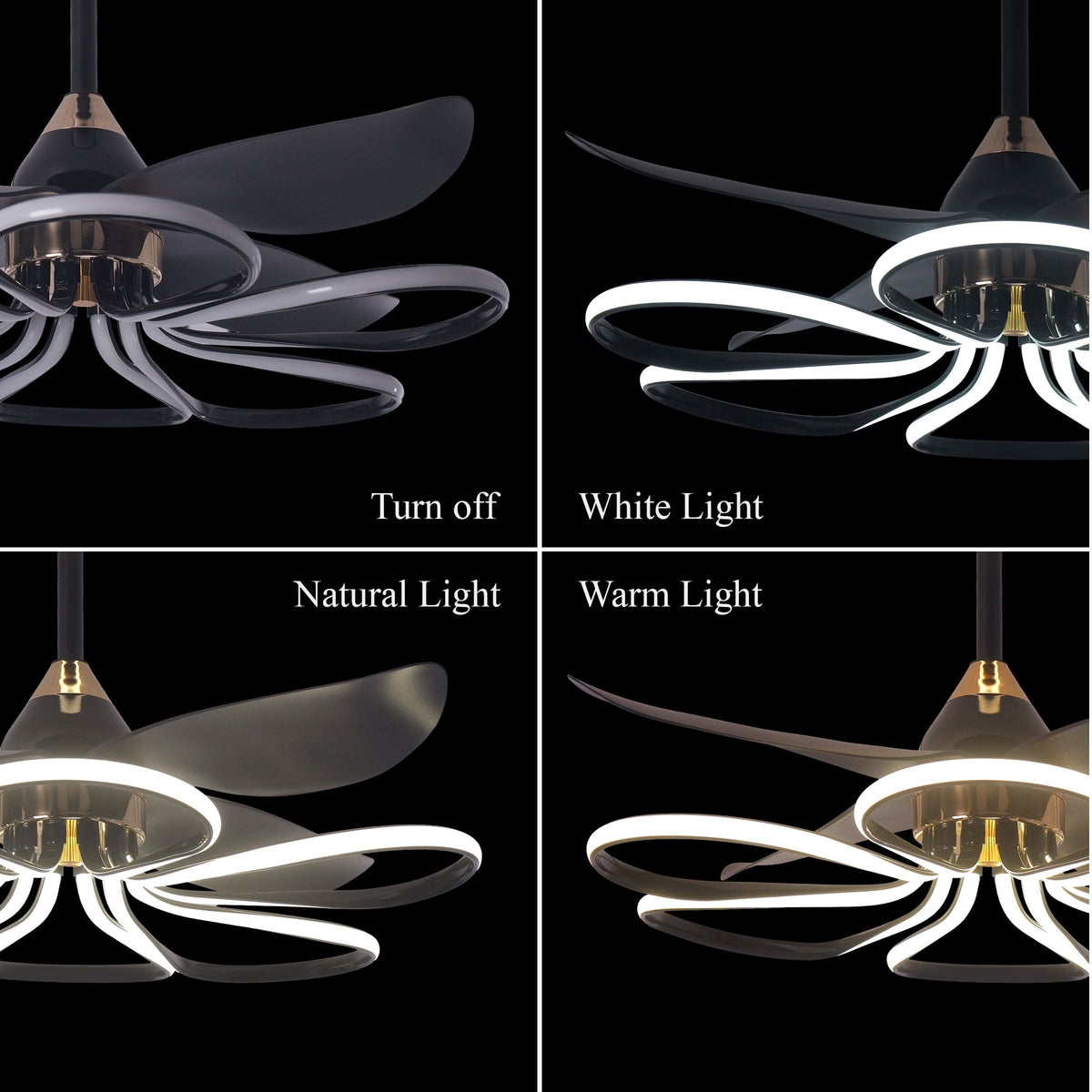 Lightsin 36-inch Black Modern Petal LED Ceiling Fan with Light - 6-Speed with Remote Control