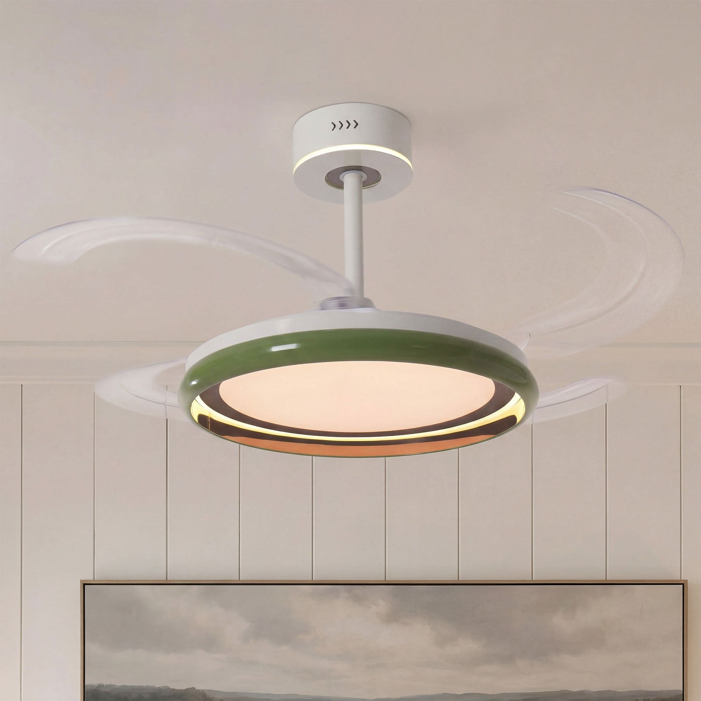 Lightsin 48 Inch Ceiling Fan with Reversible Airflow and Timer