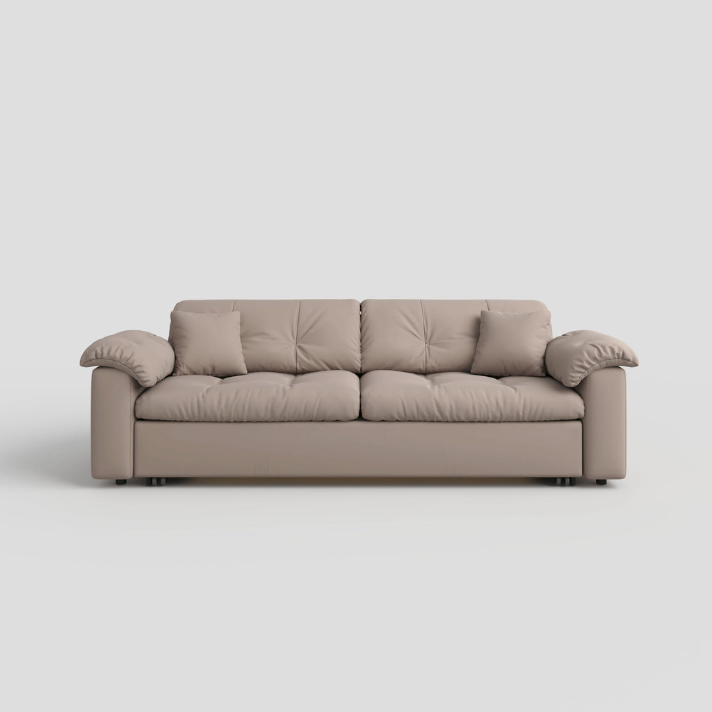 Cottonfy Multifunctional Sleeper Pull Out 2 Seater Sofa Bed with Storage Space