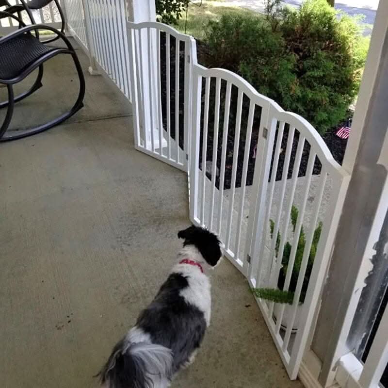 82cm H Foldable Freestanding Kid Gate or Pet Gate 3/4 Panels Safety Fence