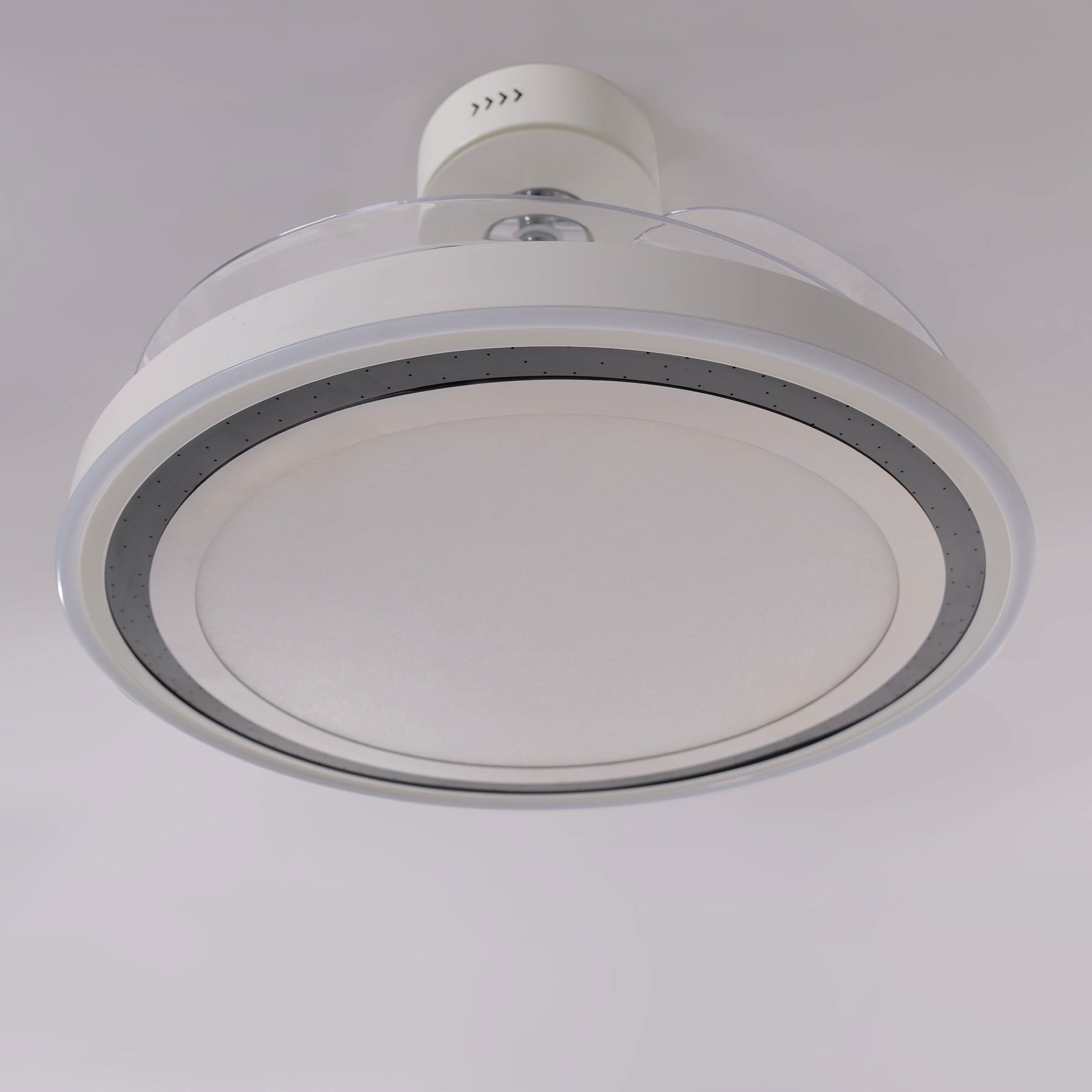 Lightsin 48 Inch Ceiling Fan with Quiet Reversible DC Motor