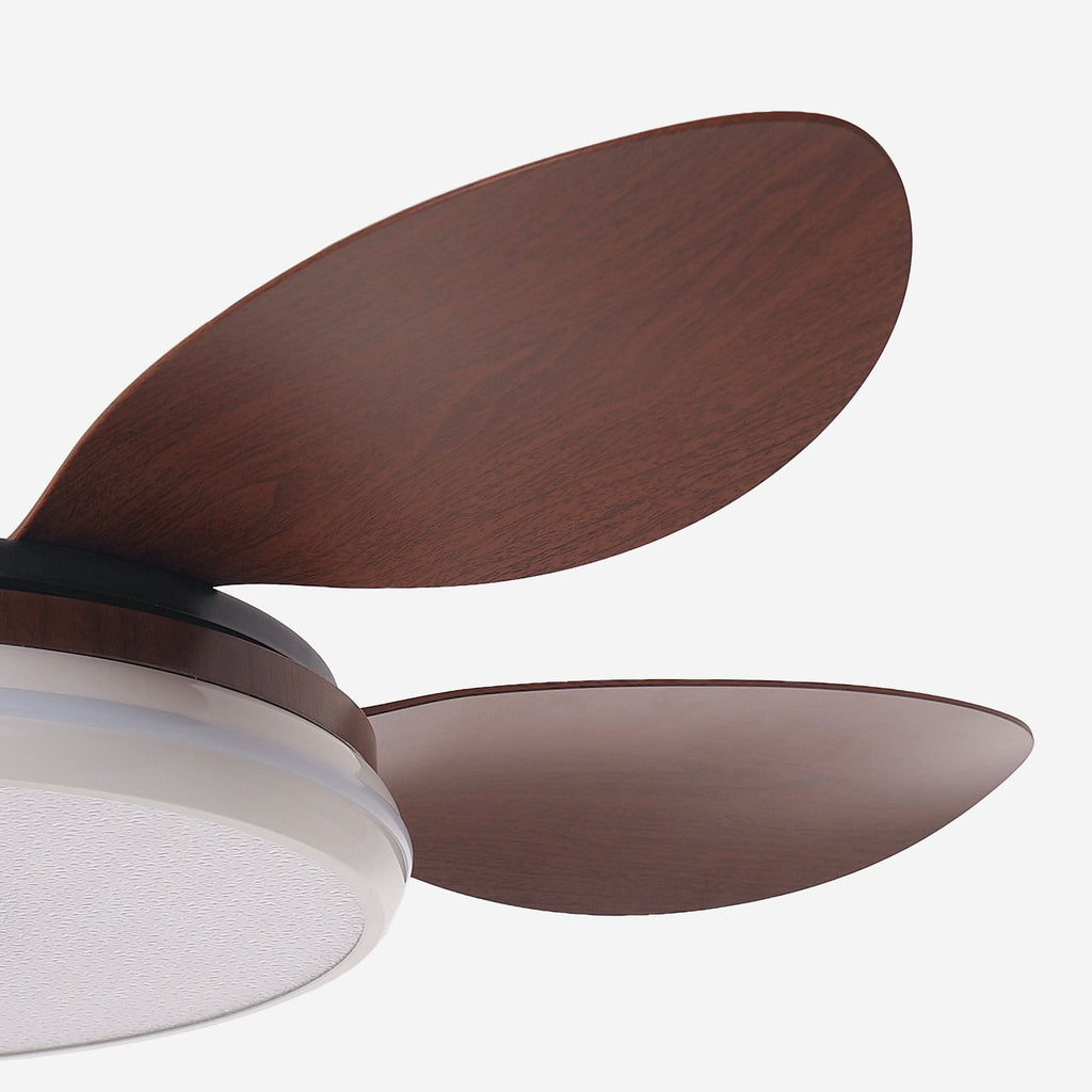 Lightsin 48 Inch Ceiling Fan with Bright LED and Timer Remote