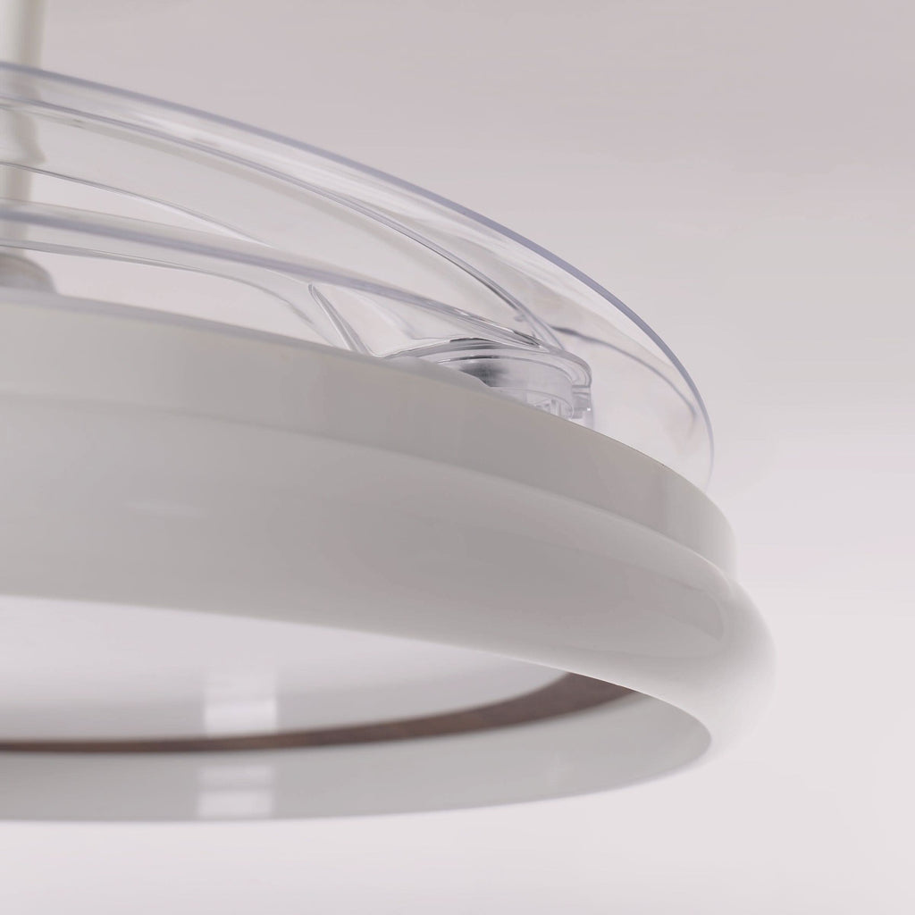 Lightsin 48 Inch Ceiling Fan with Reversible Airflow and Timer