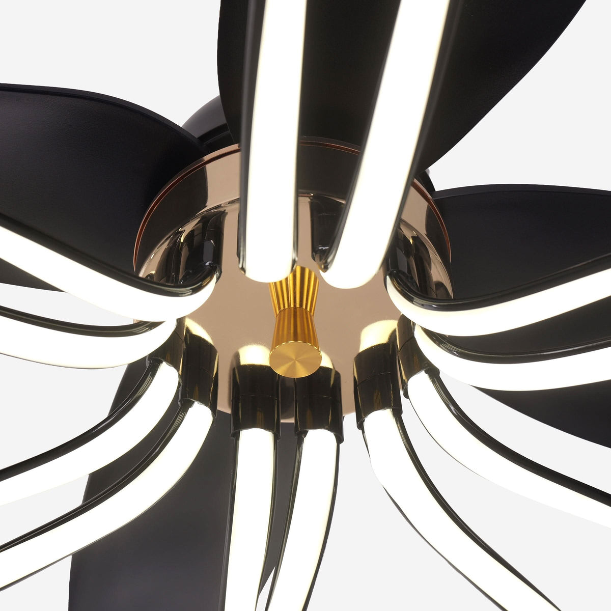 Lightsin 36-inch Black Modern Petal LED Ceiling Fan with Light - 6-Speed with Remote Control