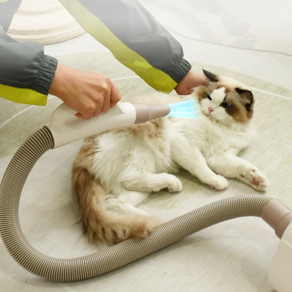 1700W Power 4 IN 1 Pet Grooming Dryer Handheld Blaster