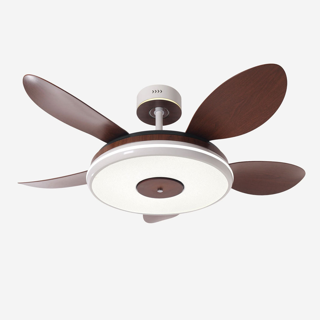 Lightsin 48 Inch Ceiling Fan with Bright LED and Timer Remote