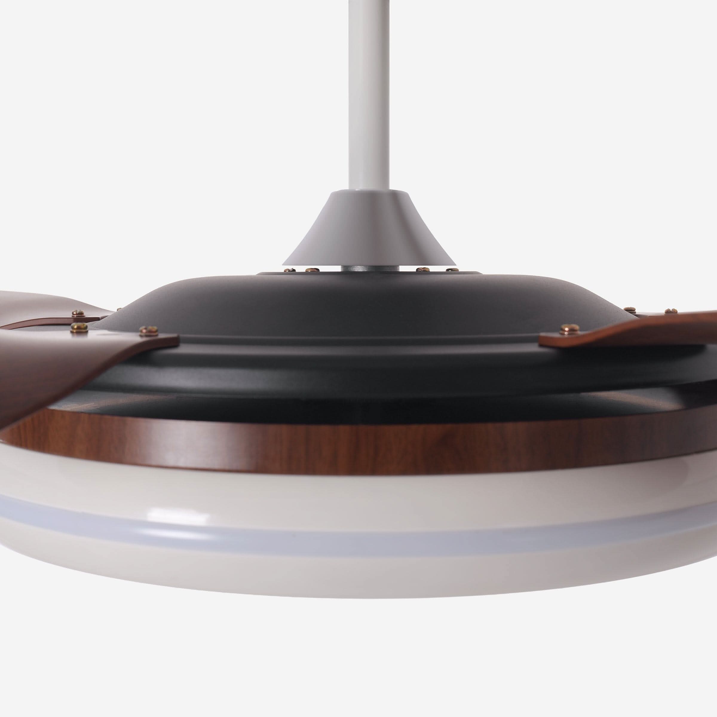 Lightsin 48 Inch Ceiling Fan with Bright LED and Timer Remote