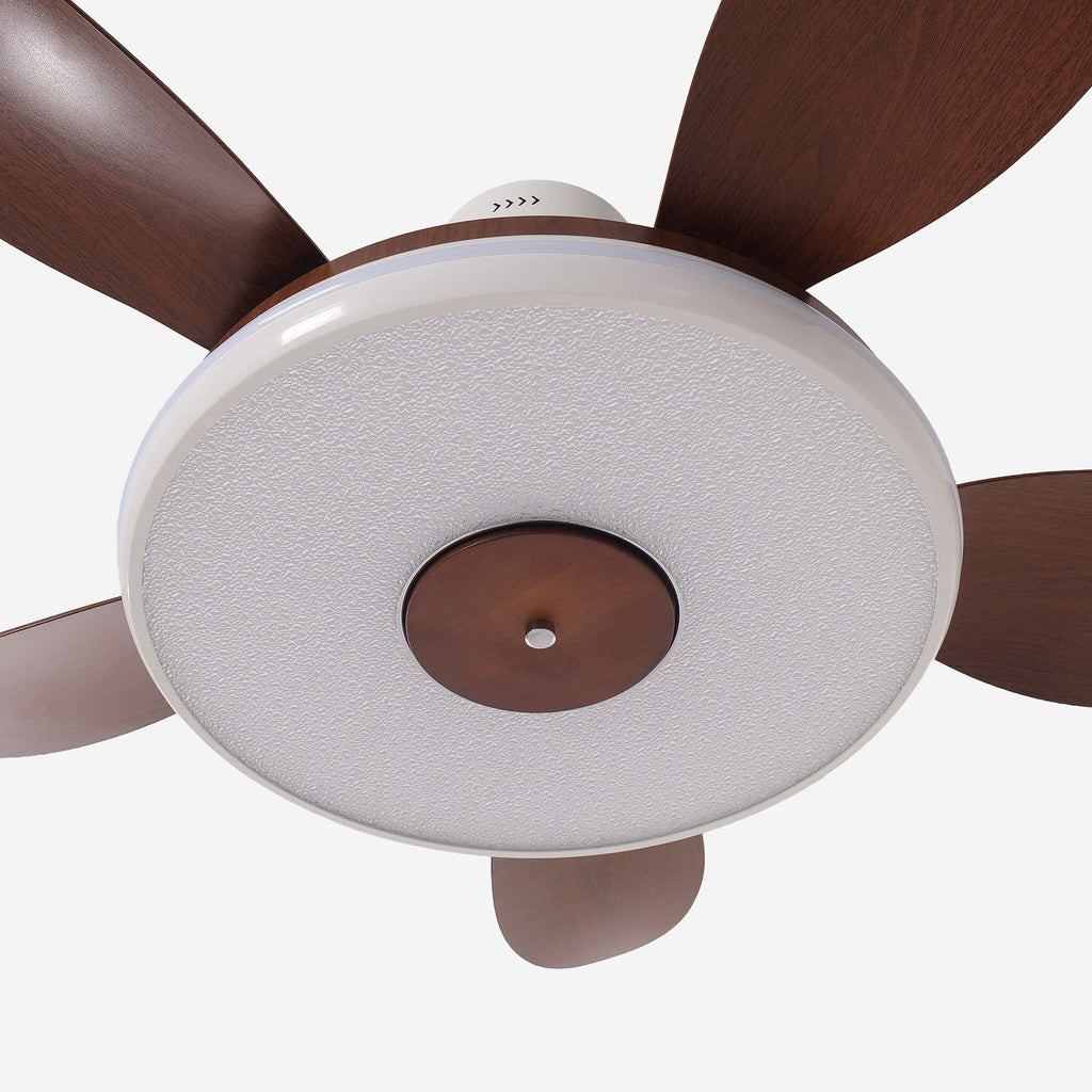 Lightsin 48 Inch Ceiling Fan with Bright LED and Timer Remote