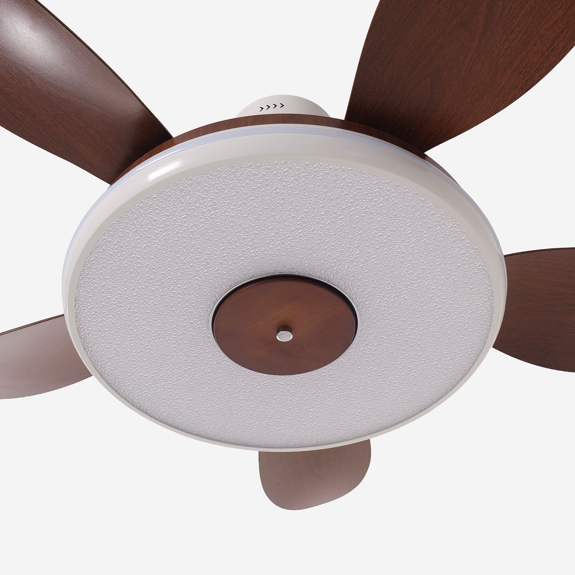 Lightsin 48 Inch Ceiling Fan with Bright LED and Timer Remote