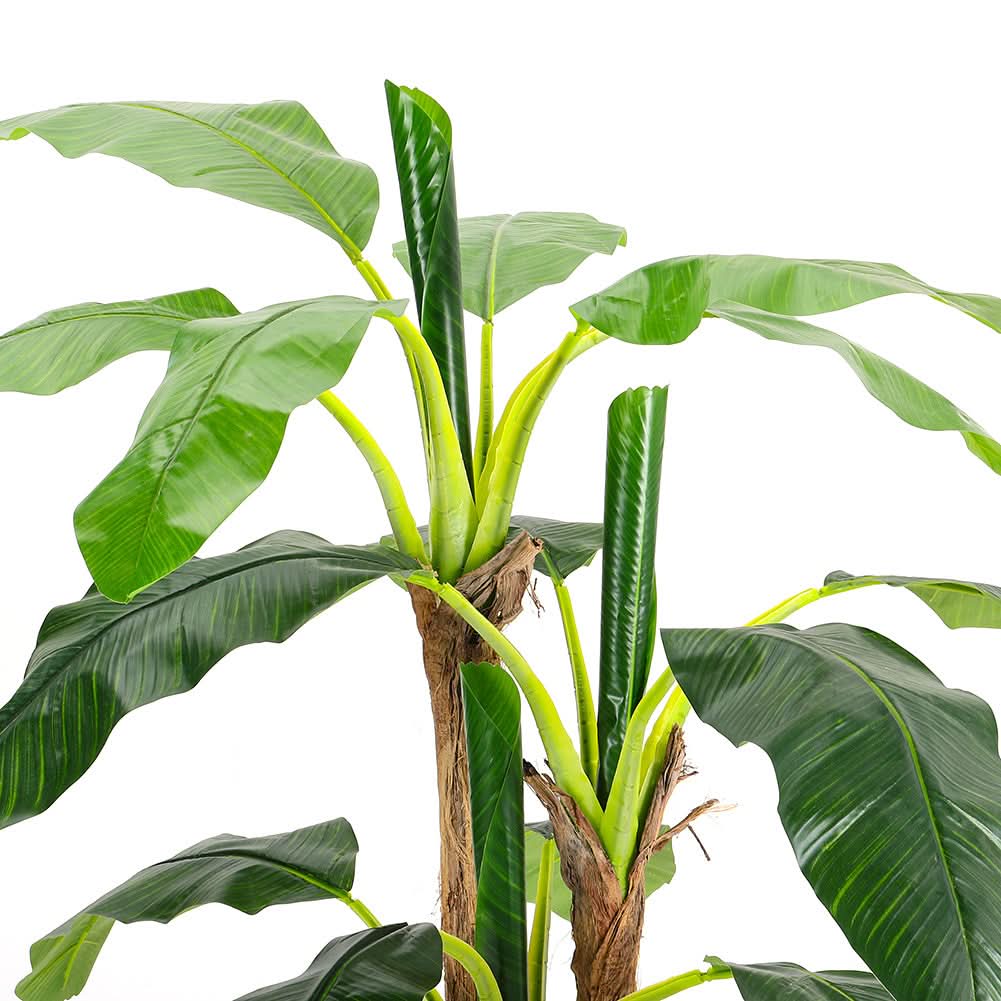 180cm H Lifelike Banana Artificial Tree 3 Trunk in Black Planter