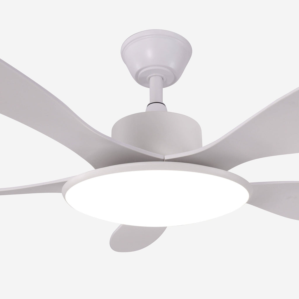 Lightsin 53-inch Modern Ceiling Fan with Light, Silent 5-Blade LED Fan with Remote