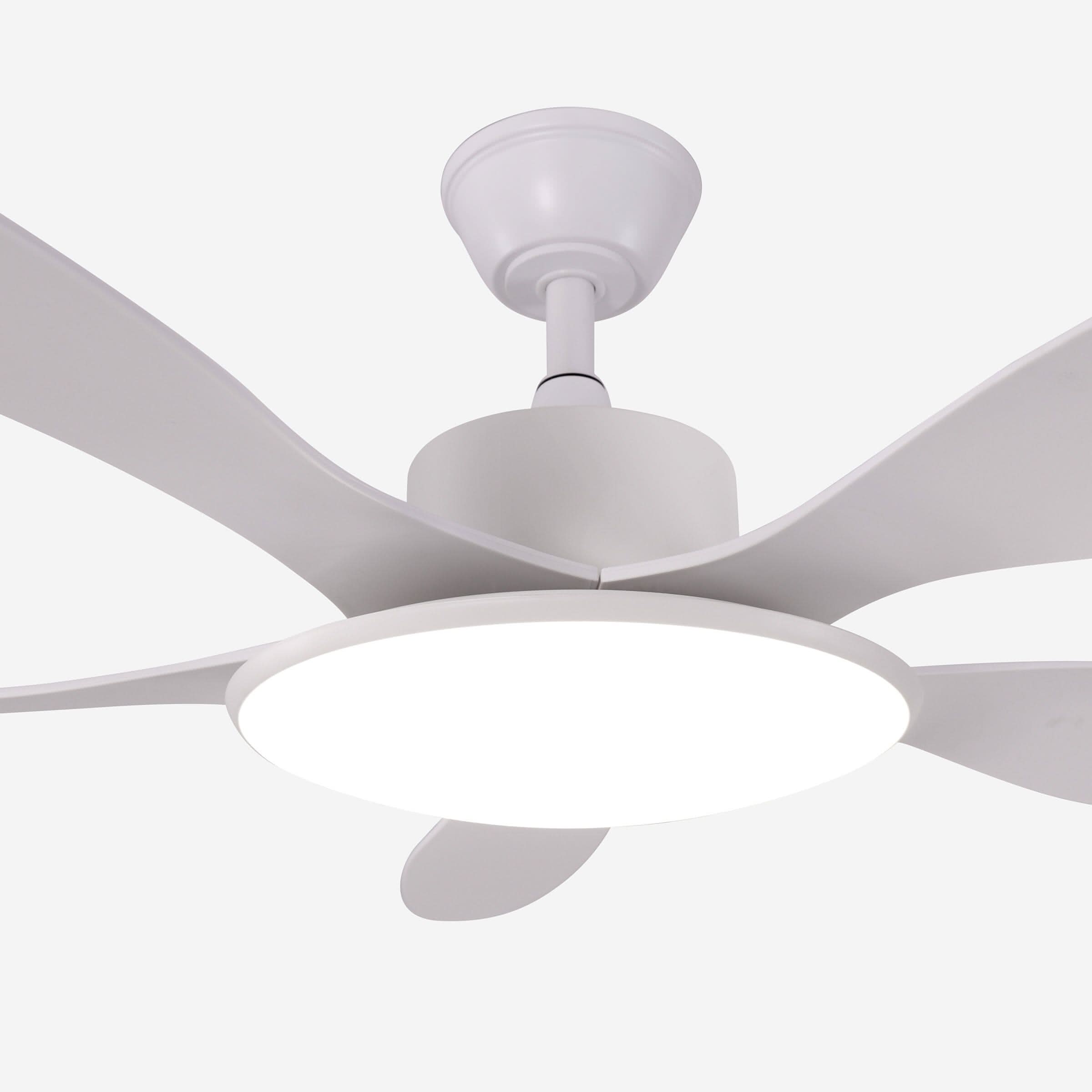 Lightsin 53-inch Modern Ceiling Fan with Light, Silent 5-Blade LED Fan with Remote