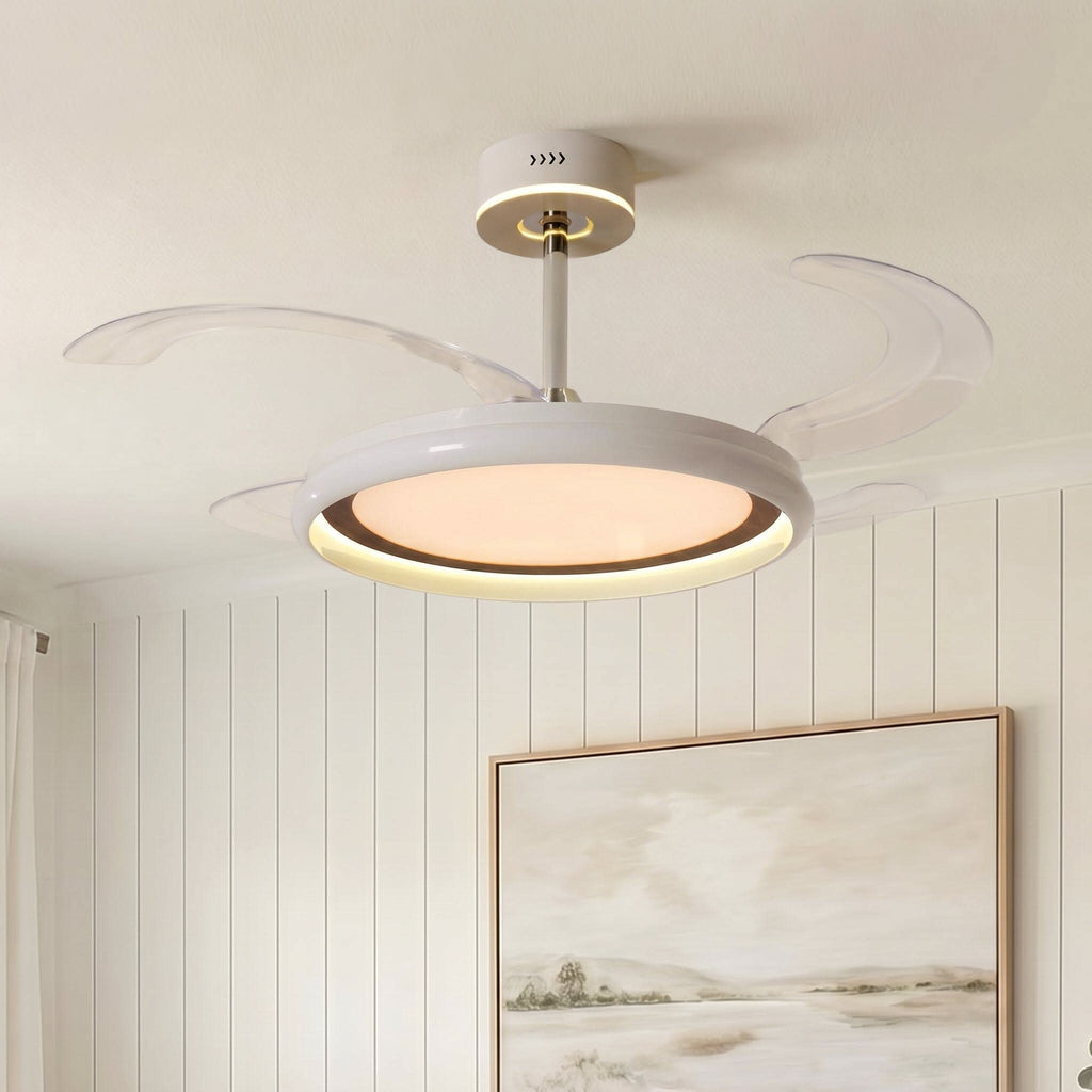 Lightsin 48 Inch Ceiling Fan with Reversible Airflow and Timer