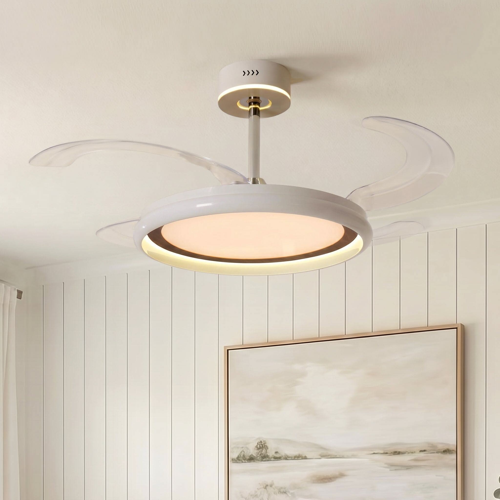 Lightsin 48 Inch Ceiling Fan with Reversible Airflow and Timer
