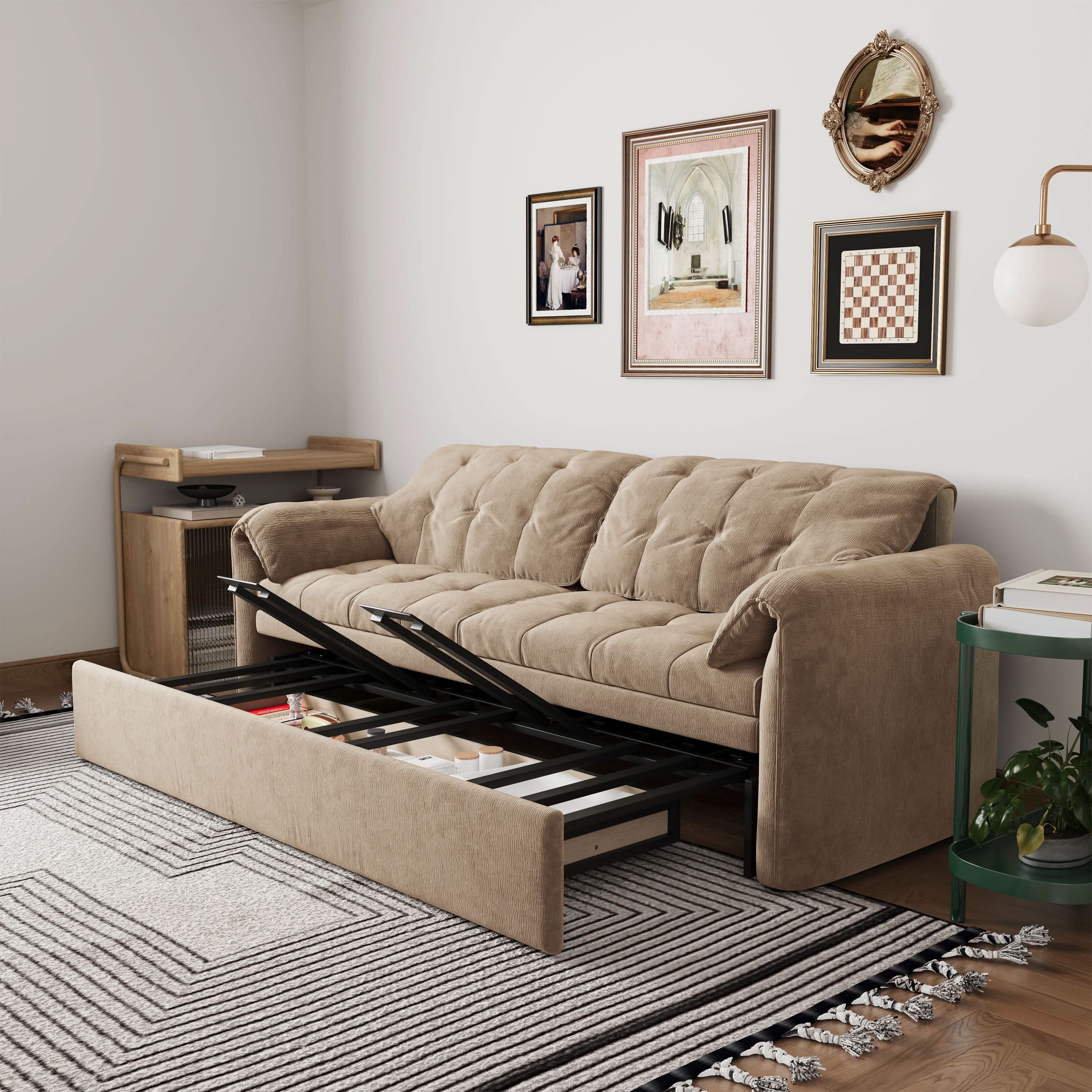 Cottonfy Upgraded Cloud Chenille Skin Friendly Sofa Bed with Storage