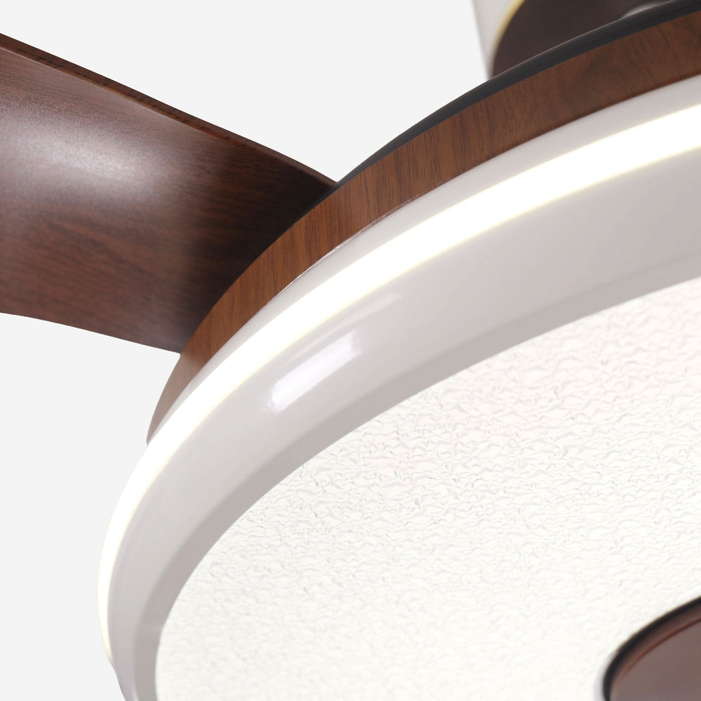 Lightsin 48 Inch Ceiling Fan with Bright LED and Timer Remote