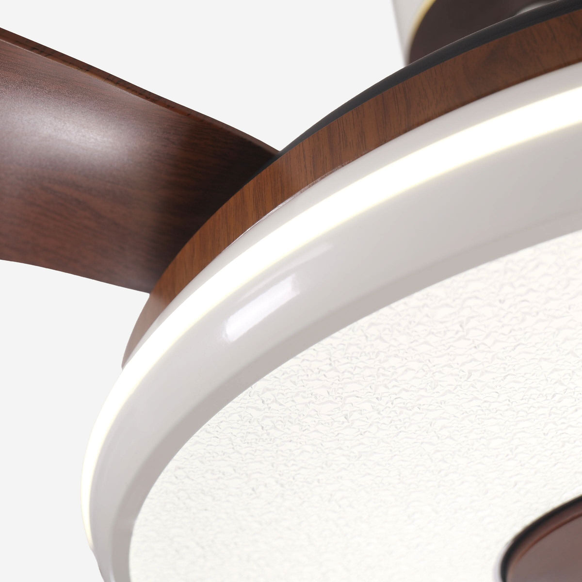 Lightsin 48 Inch Ceiling Fan with Bright LED and Timer Remote