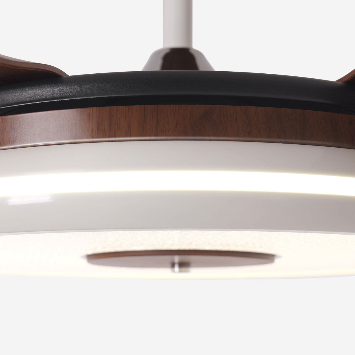 Lightsin 48 Inch Ceiling Fan with Bright LED and Timer Remote
