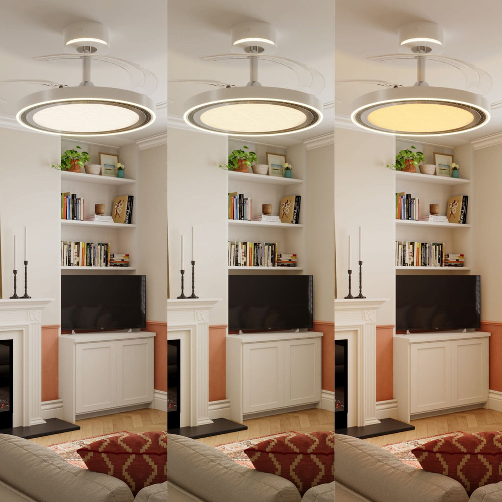 Lightsin 48 Inch Ceiling Fan with Quiet Reversible DC Motor