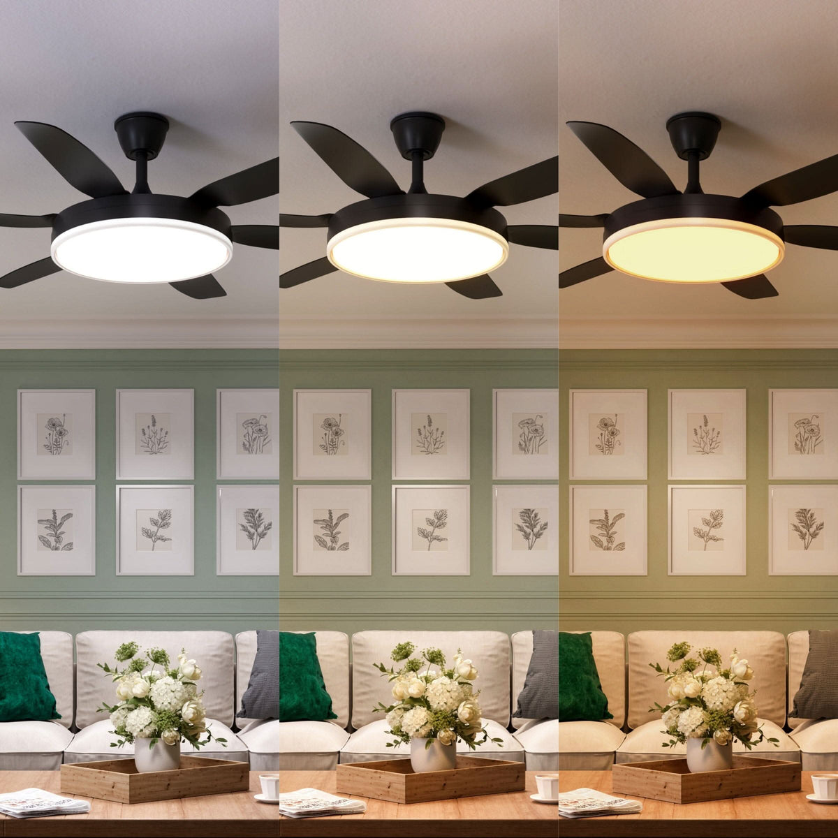 Lightsin Modern Black 57inch LED Ceiling Fan with Remote Control