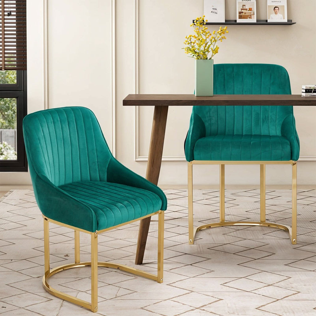 Velvet Dining Chair Gold Leg Pair Seating
