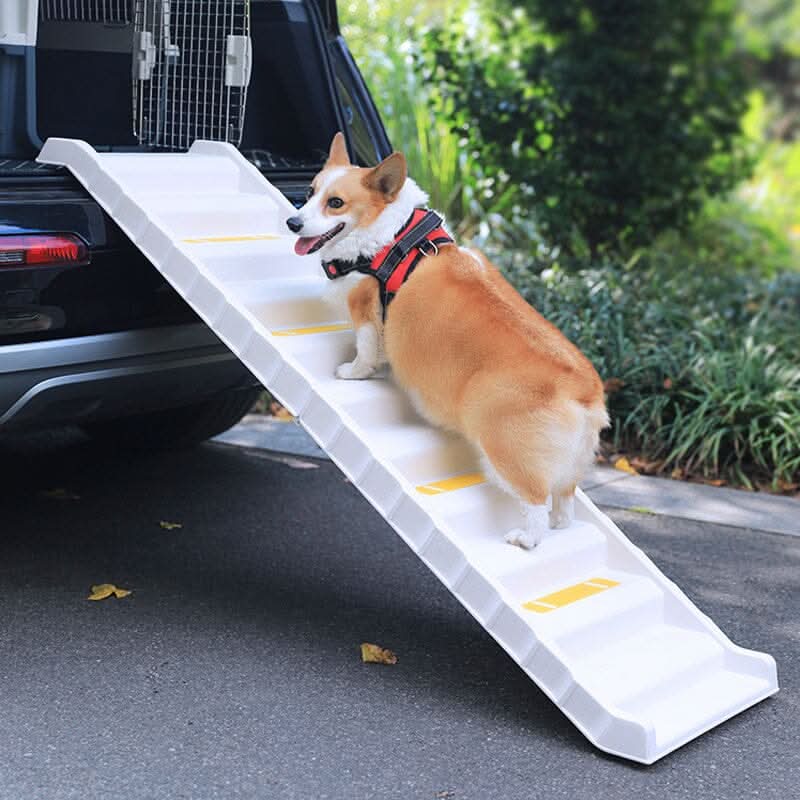 Folding Portable Dog Pet Stairs Ramp White