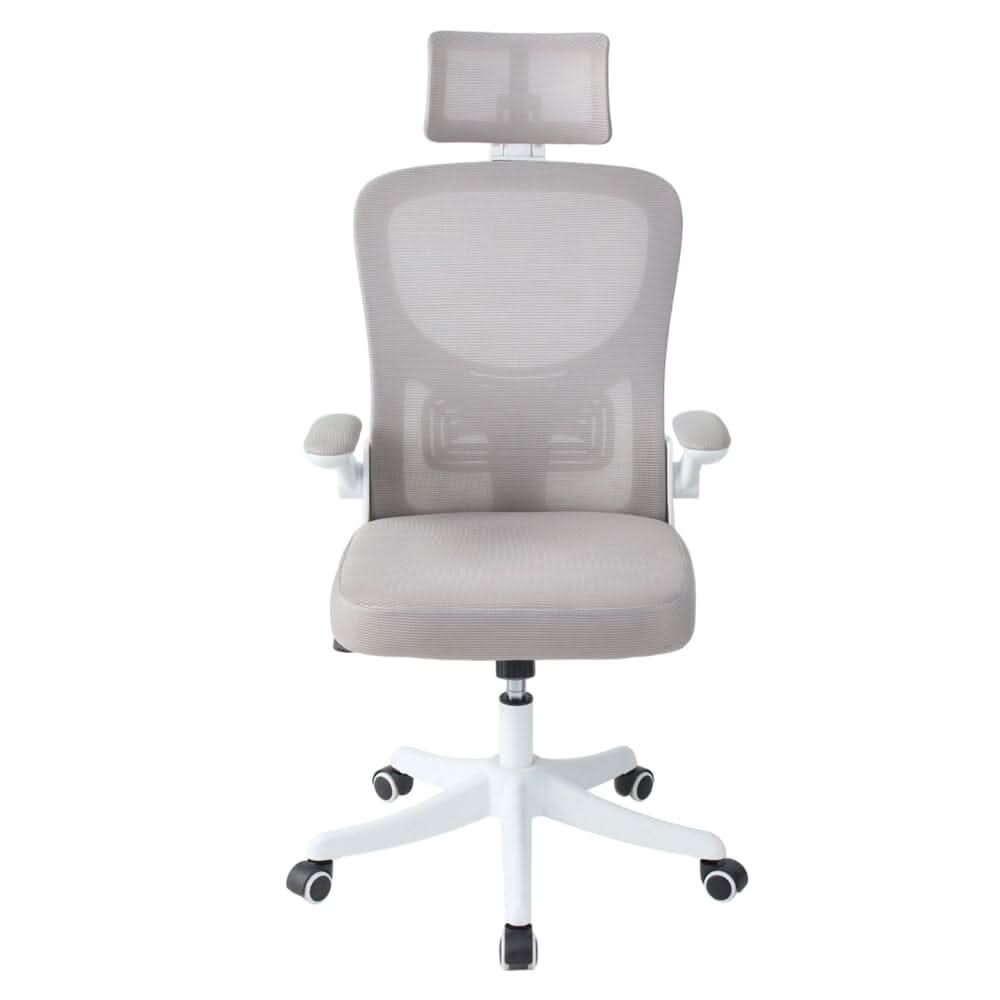 Professional Mesh Office Chair Collection Standard Regular Premium Models
