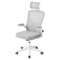 Professional Mesh Office Chair Collection Standard Regular Premium Models
