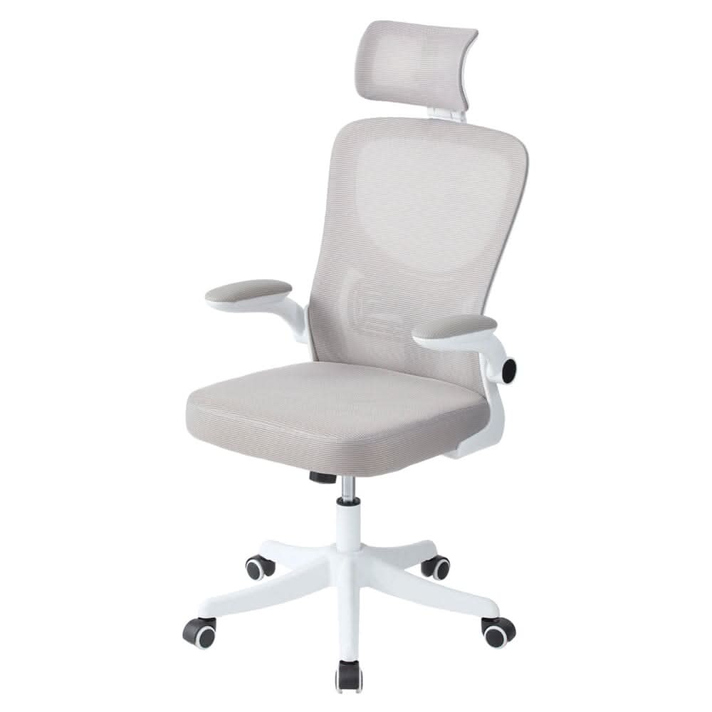 Professional Mesh Office Chair Collection Standard Regular Premium Models