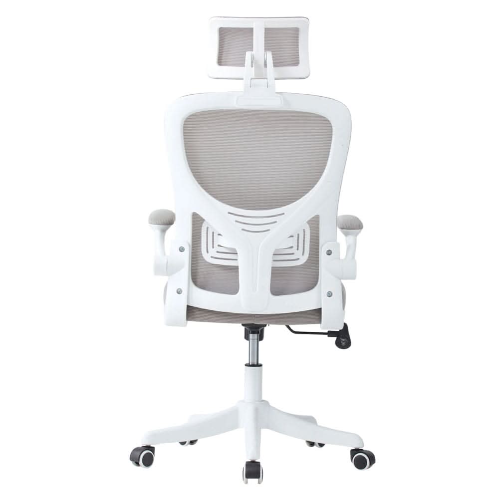 Professional Mesh Office Chair Collection Standard Regular Premium Models