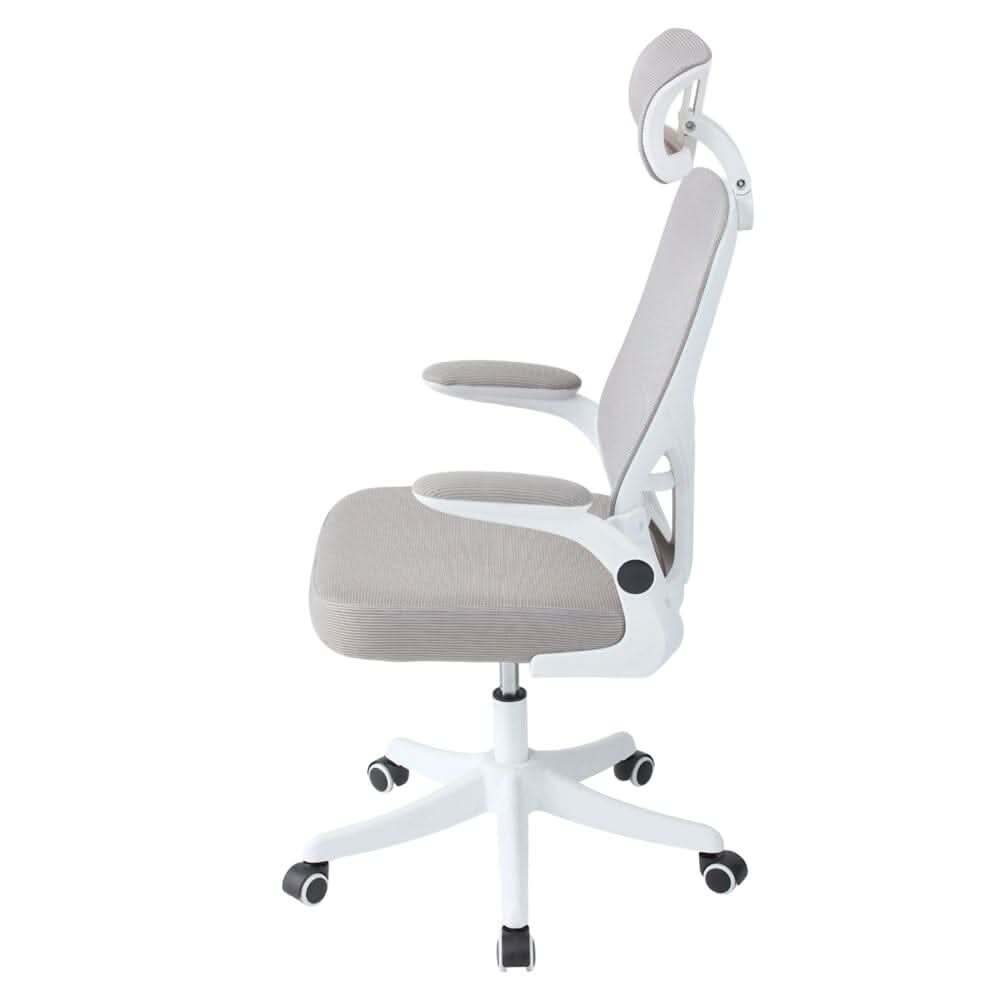 Professional Mesh Office Chair Collection Standard Regular Premium Models