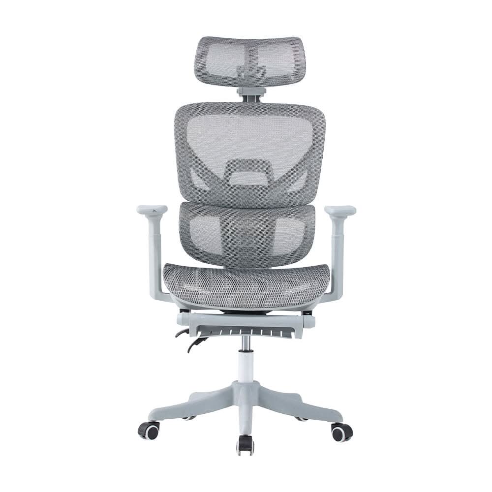 Professional Mesh Office Chair Collection Standard Regular Premium Models