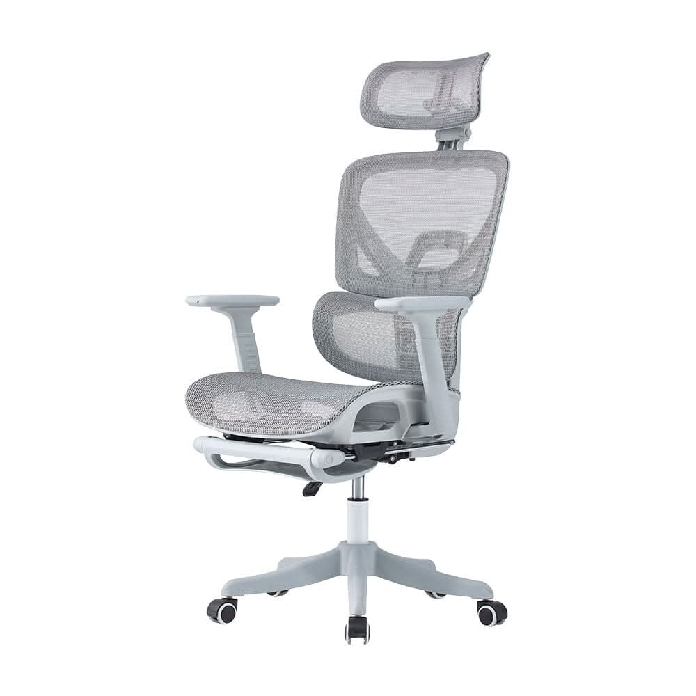 Professional Mesh Office Chair Collection Standard Regular Premium Models