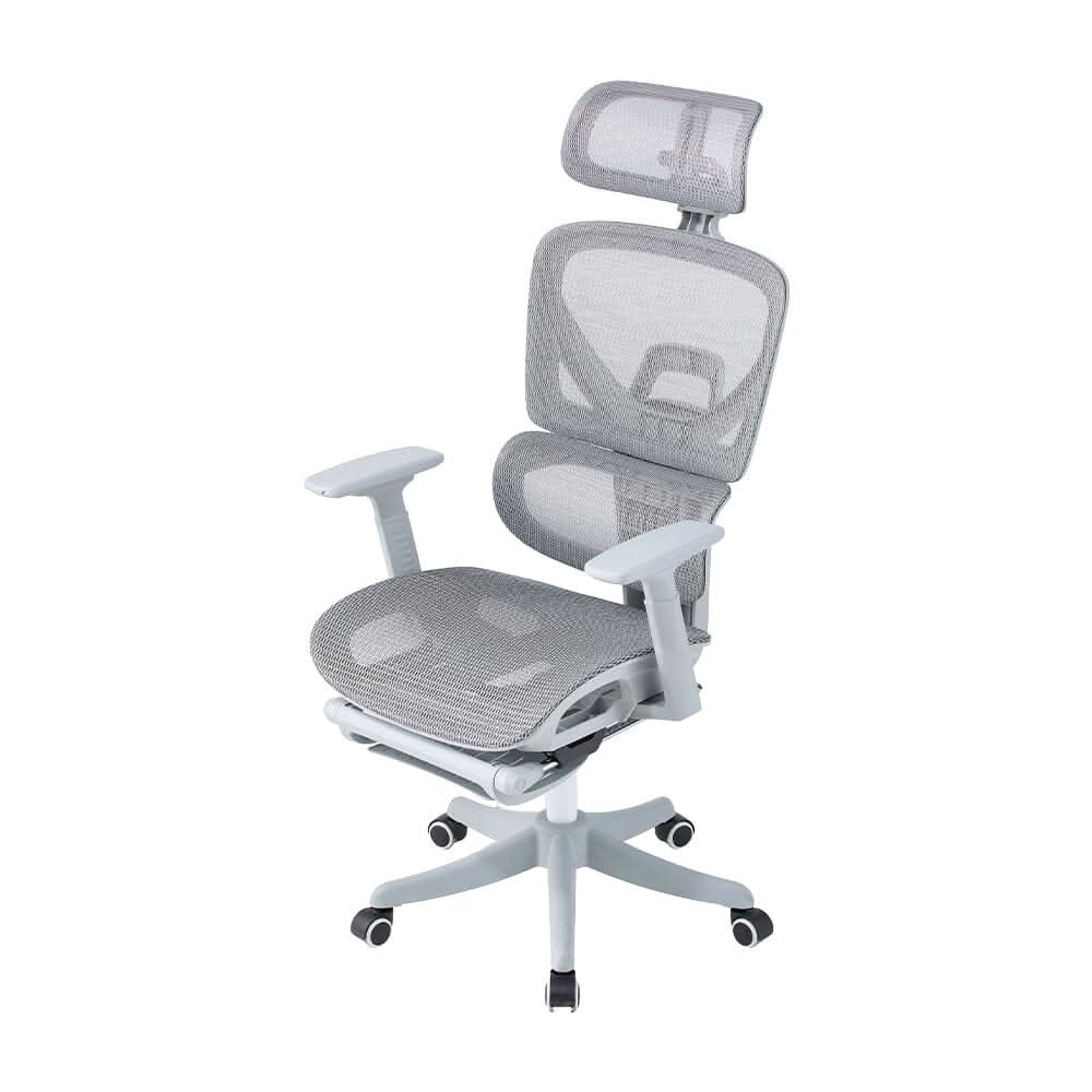 Professional Mesh Office Chair Collection Standard Regular Premium Models