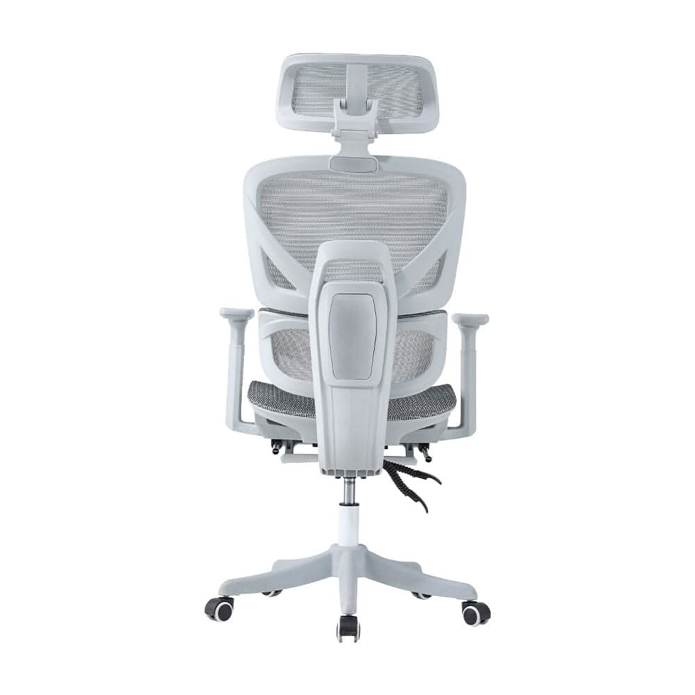 Professional Mesh Office Chair Collection Standard Regular Premium Models