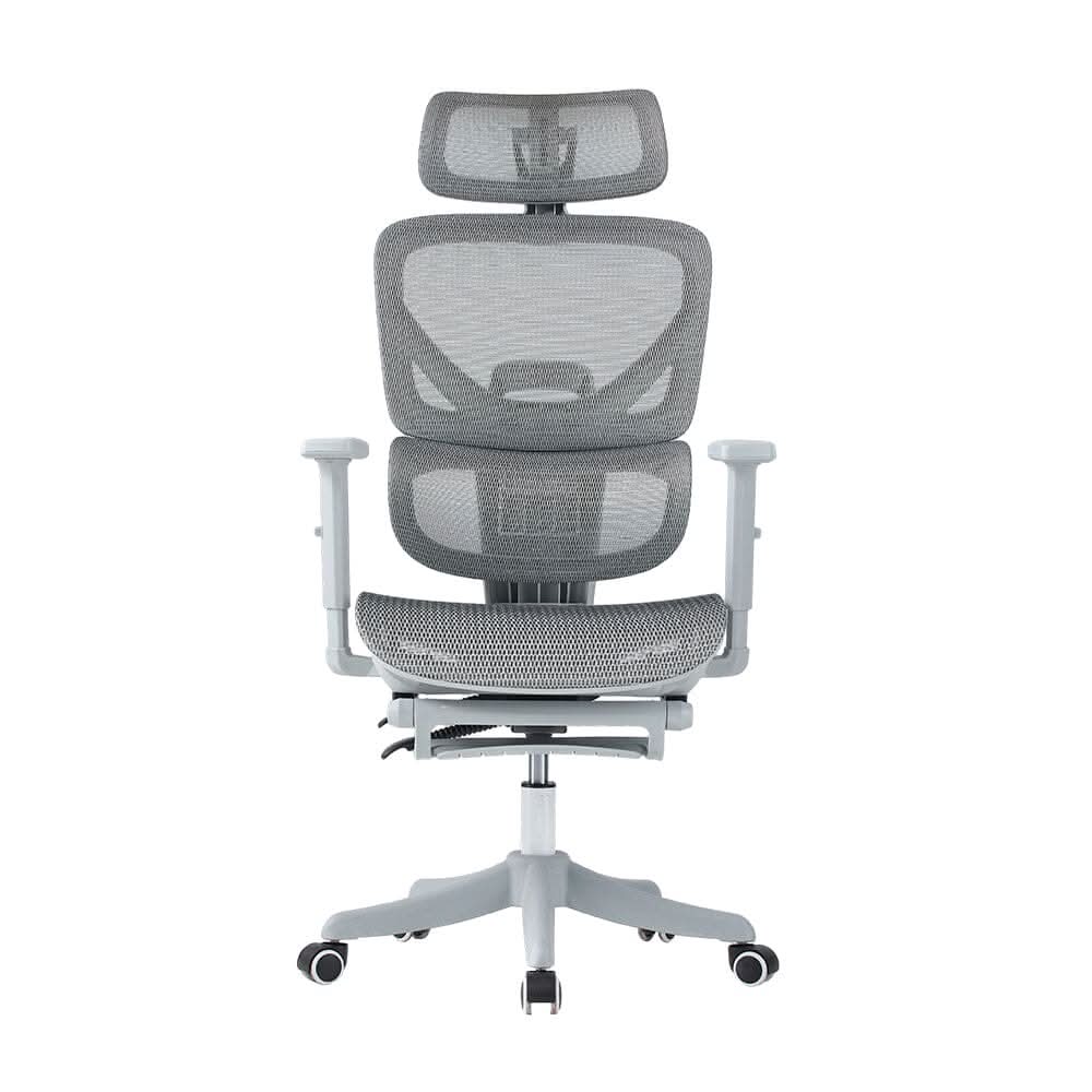 Professional Mesh Office Chair Collection Standard Regular Premium Models